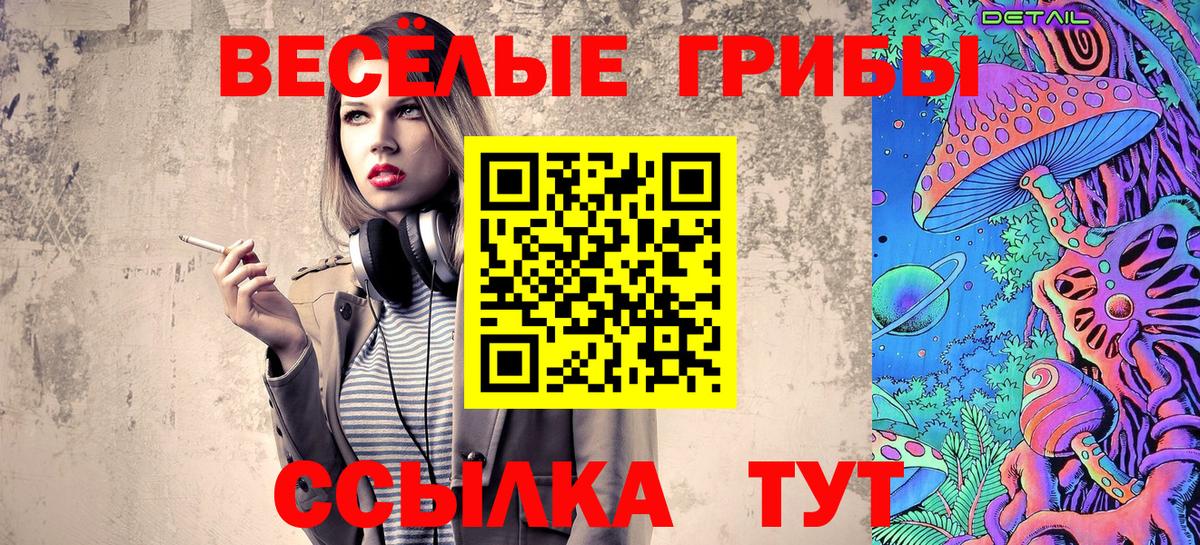 Галлюциногенные грибы Psilocybine cubensis Углич