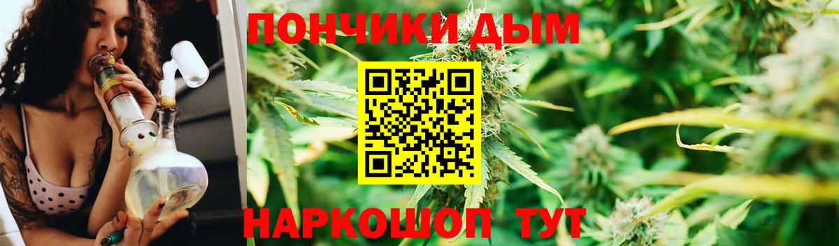 Каннабис планчик Углич